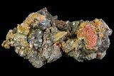Red-Orange Vanadinite Crystals on Calcite - Arizona #69210-1